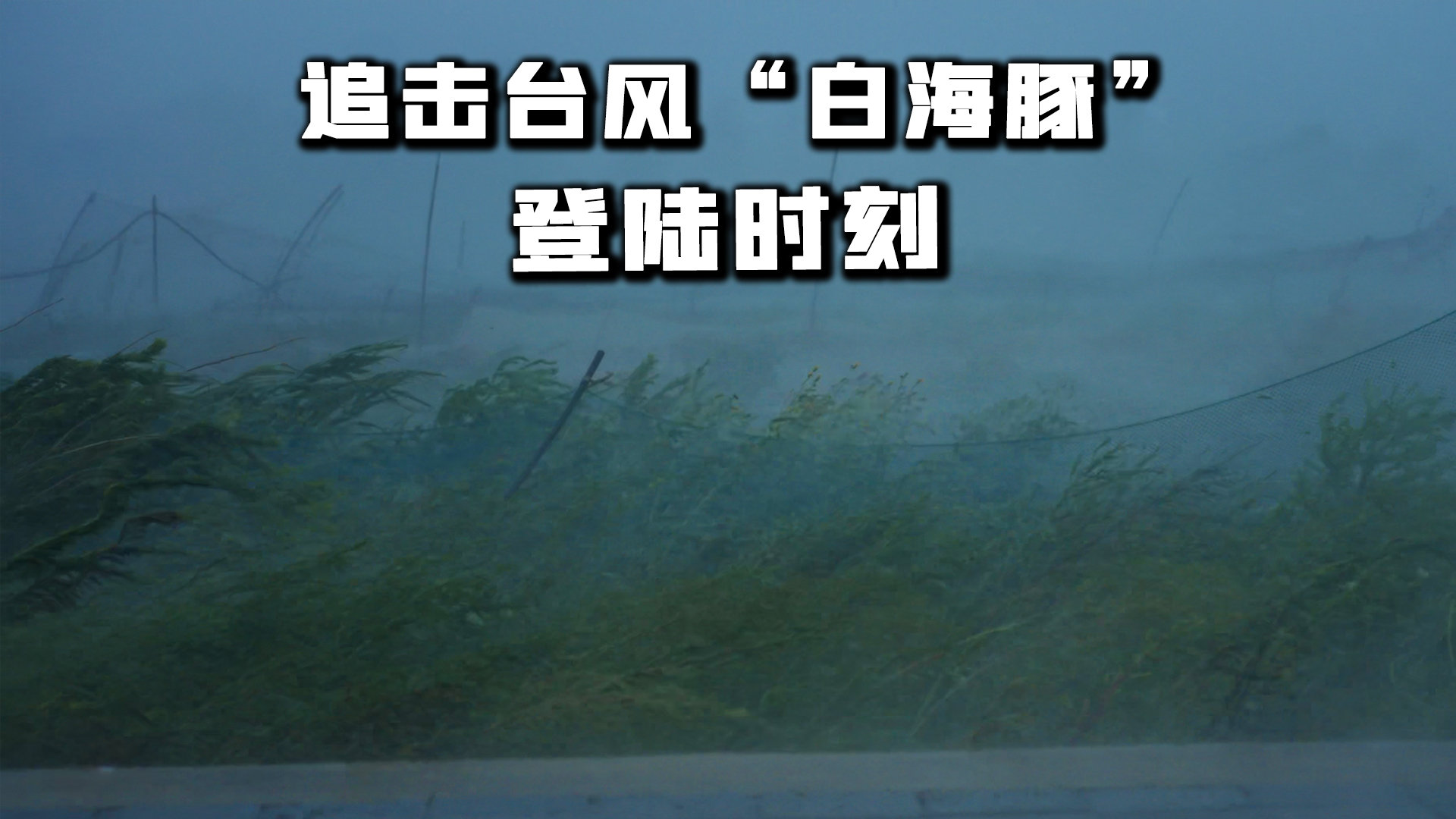 微博视频封面