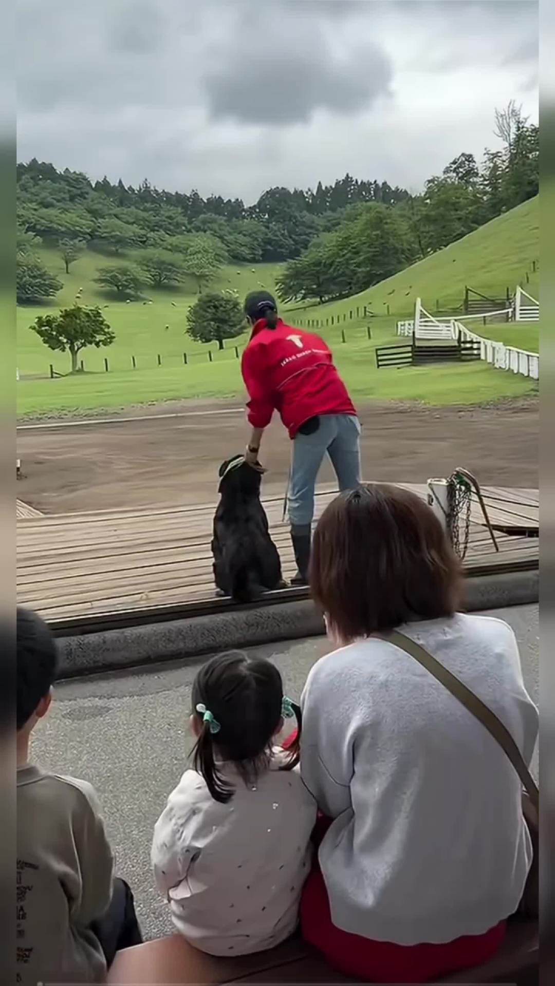 微博视频封面